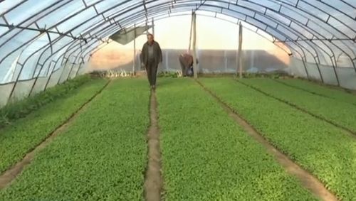 身份證可能被別人綁定微信支付？4步教你快速查詢與解綁