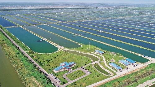 智慧農(nóng)業(yè)浪潮下，農(nóng)墾如何走在前列，引領(lǐng)農(nóng)業(yè)開(kāi)發(fā)新篇章