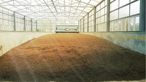 有機肥腐熟 農業開發中的關鍵環節與科學實踐